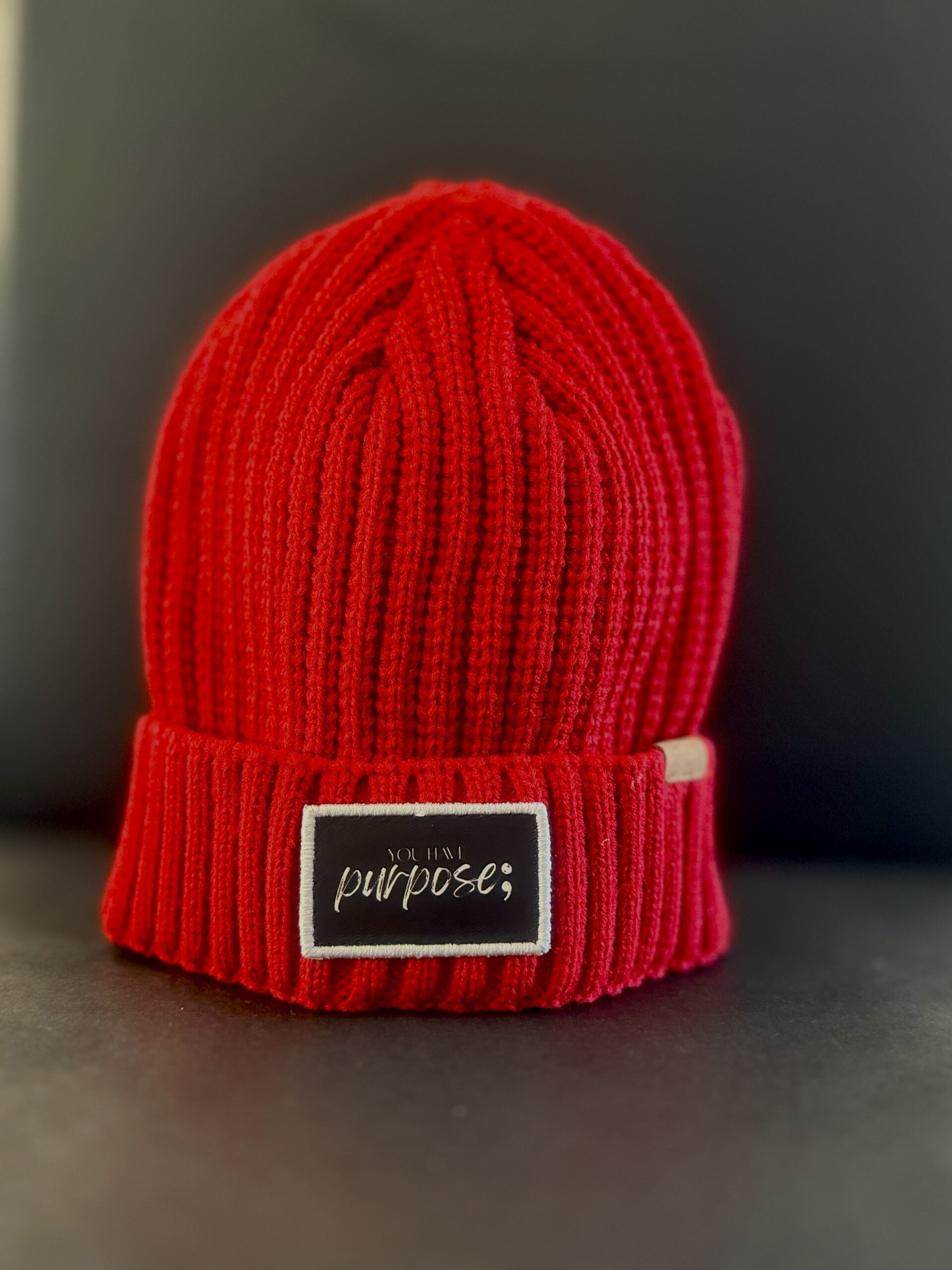 Rib Knit Cuffed Beanie (Rayon, Poly & Nylon Blend)